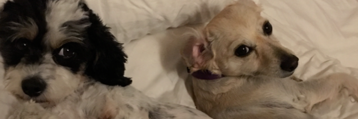 Kenda Greenwood Moran banner