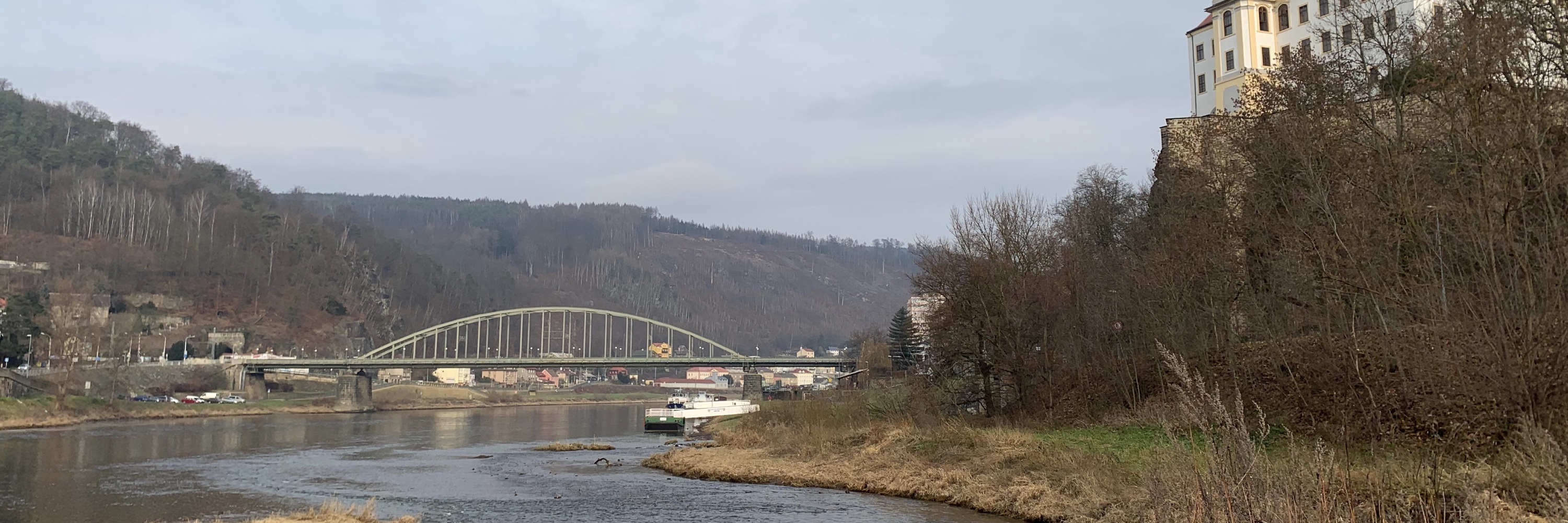 Petr Řezníček banner