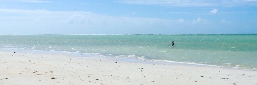 xMarcioalan's profile banner image