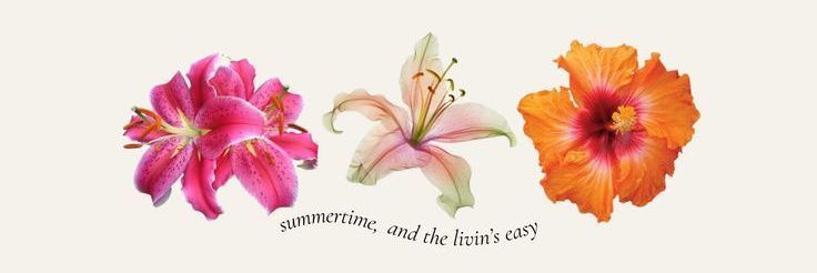 lifaa ꪆৎ free tag to banner