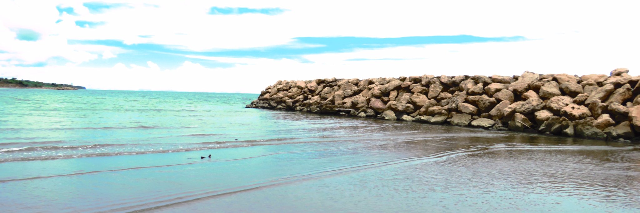 yleontolosa's profile banner image