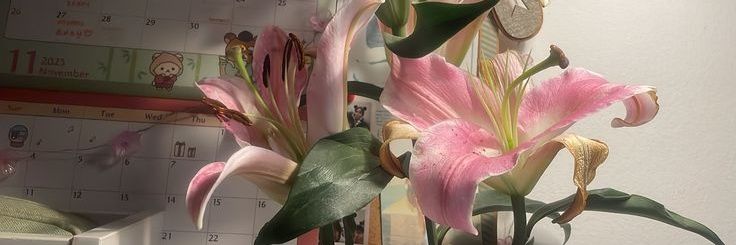 rnbtiscaa's profile banner image