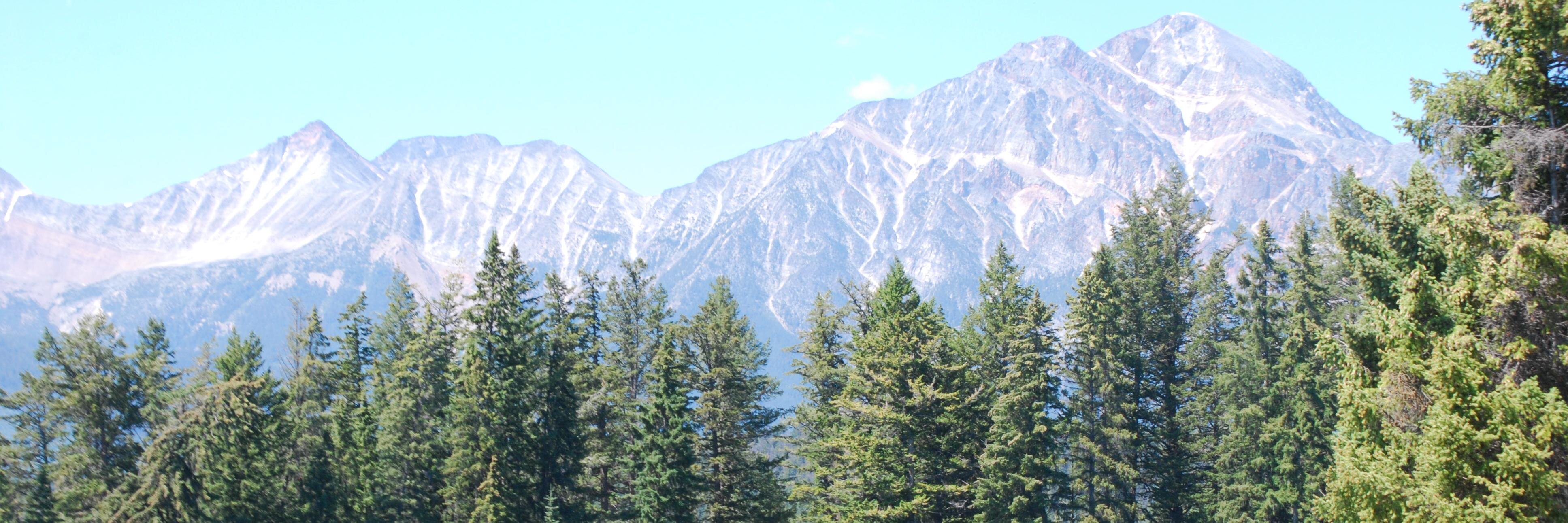 TarasRandomLife's profile banner image