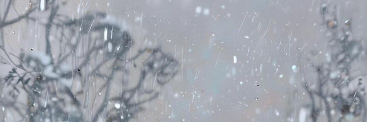Maxîs🇮🇹 banner