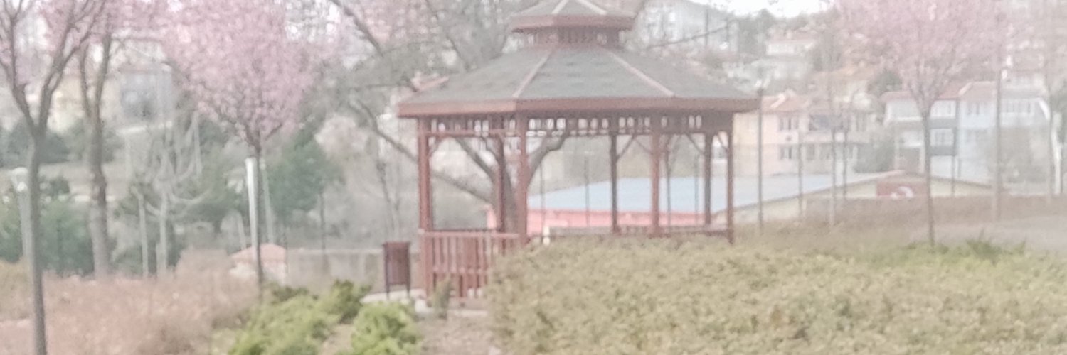 Cancanawd's profile banner image
