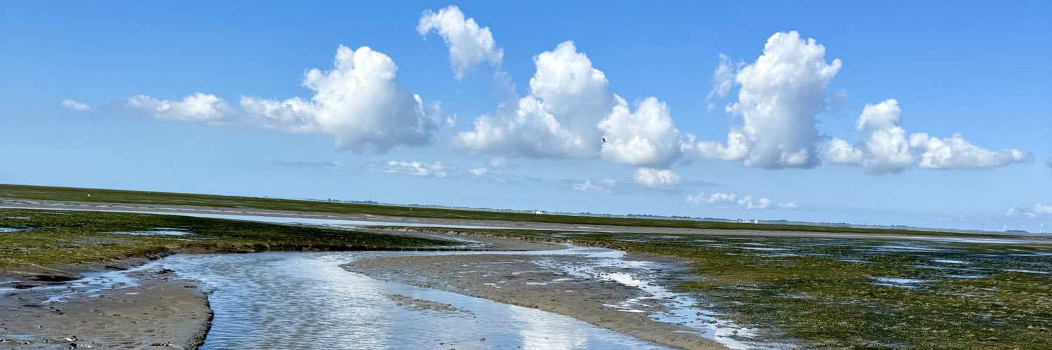 Just here for Fun banner