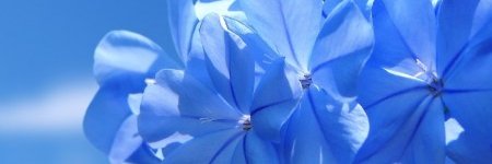 МОХСЕН's banner