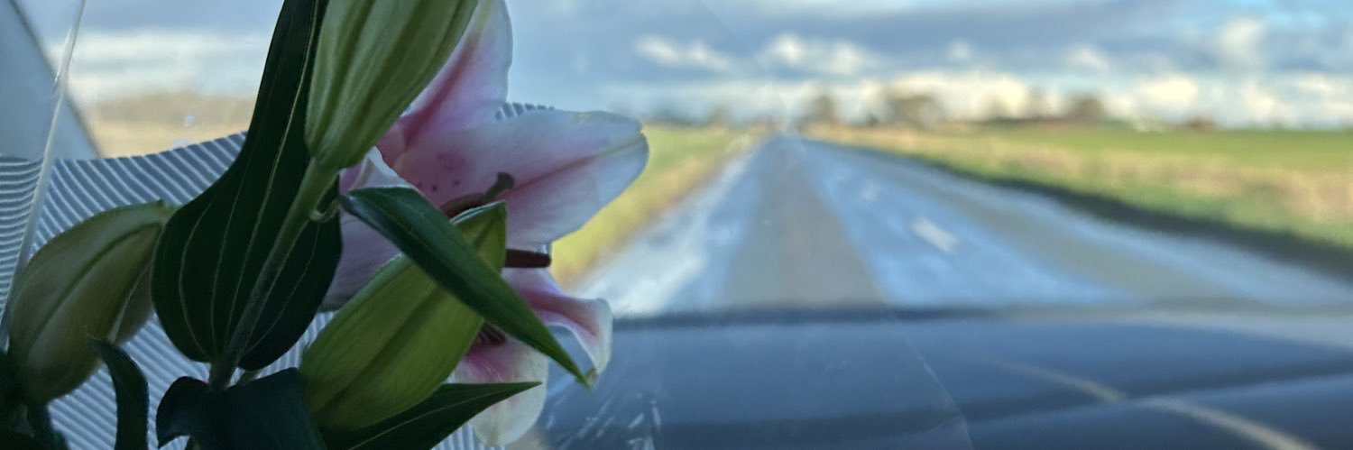 hannah574584's profile banner image