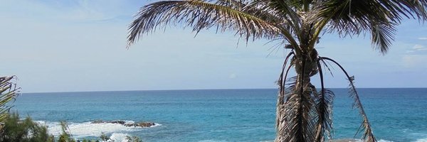 cmwells1 Profile Banner