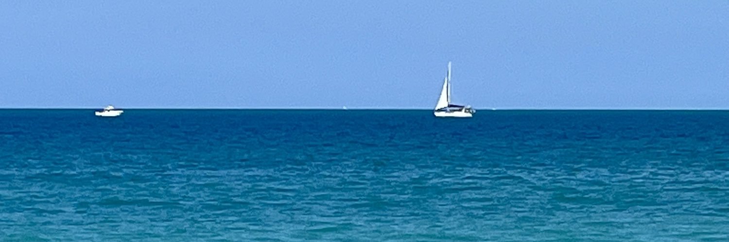 FloridiAnne banner