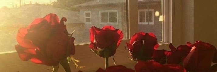 هديل الثنيان‏ 🥀 banner