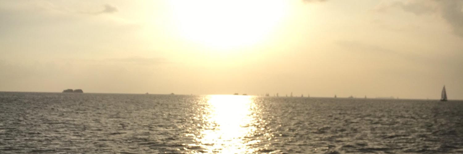 Lyssss24's profile banner image
