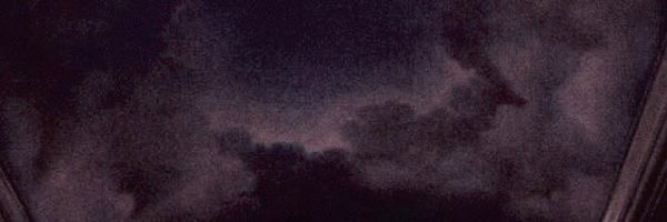 haluumii Profile Banner