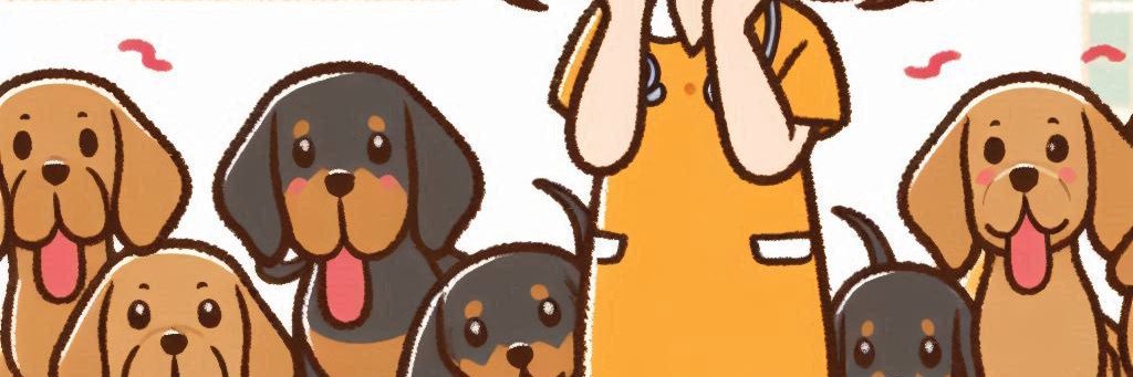 ぺち@空間の魔術師 banner