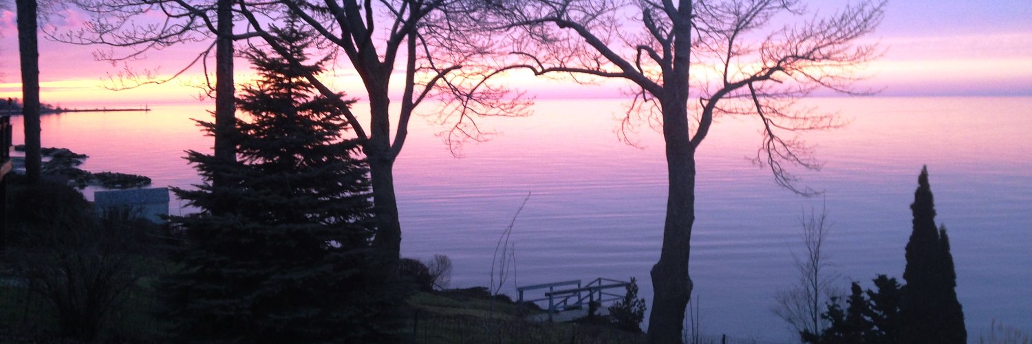 MrsDSF's profile banner image