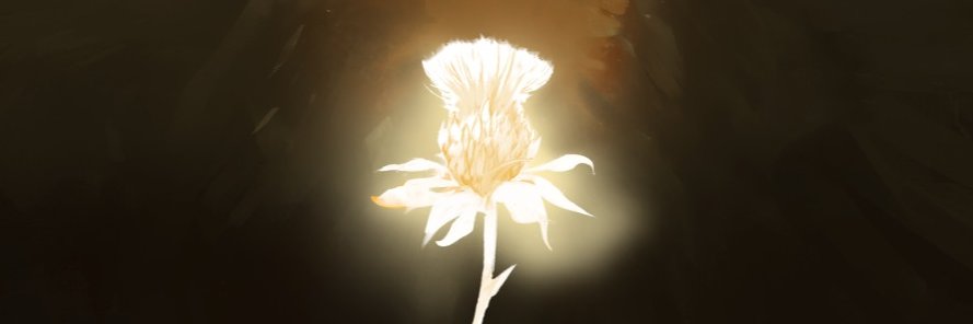 V E L C E L's banner