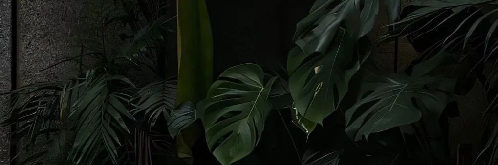 9 banner