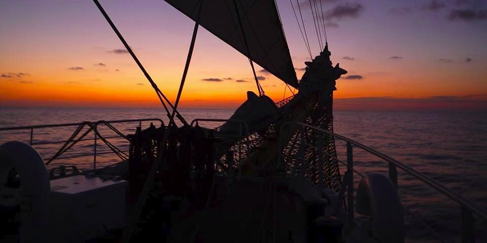 Bjoern Bendix 💚 banner