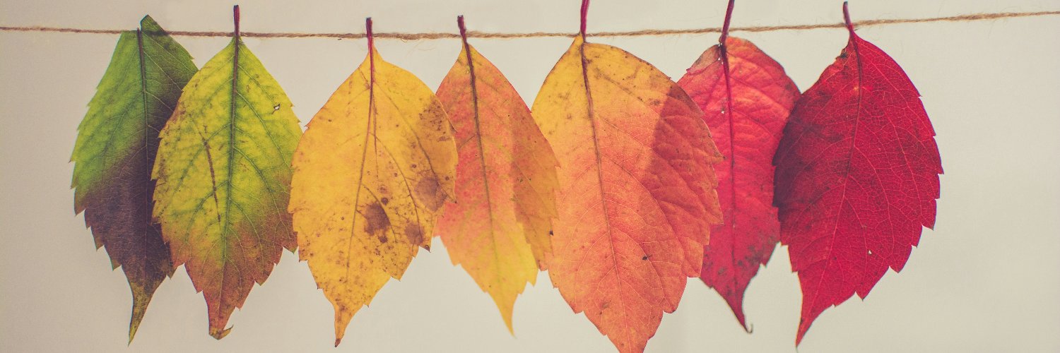 Autumn_Leave__'s profile banner image