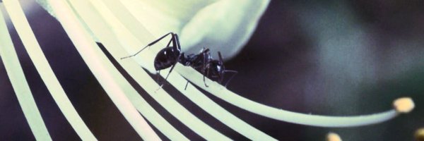 _rinina__ Profile Banner