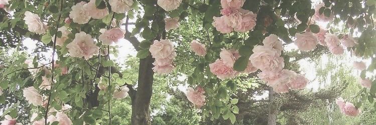 valeria 🇵🇸🍉 banner