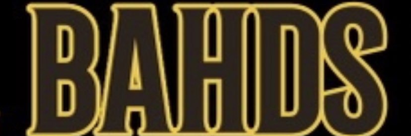 The Baseball Bahds banner