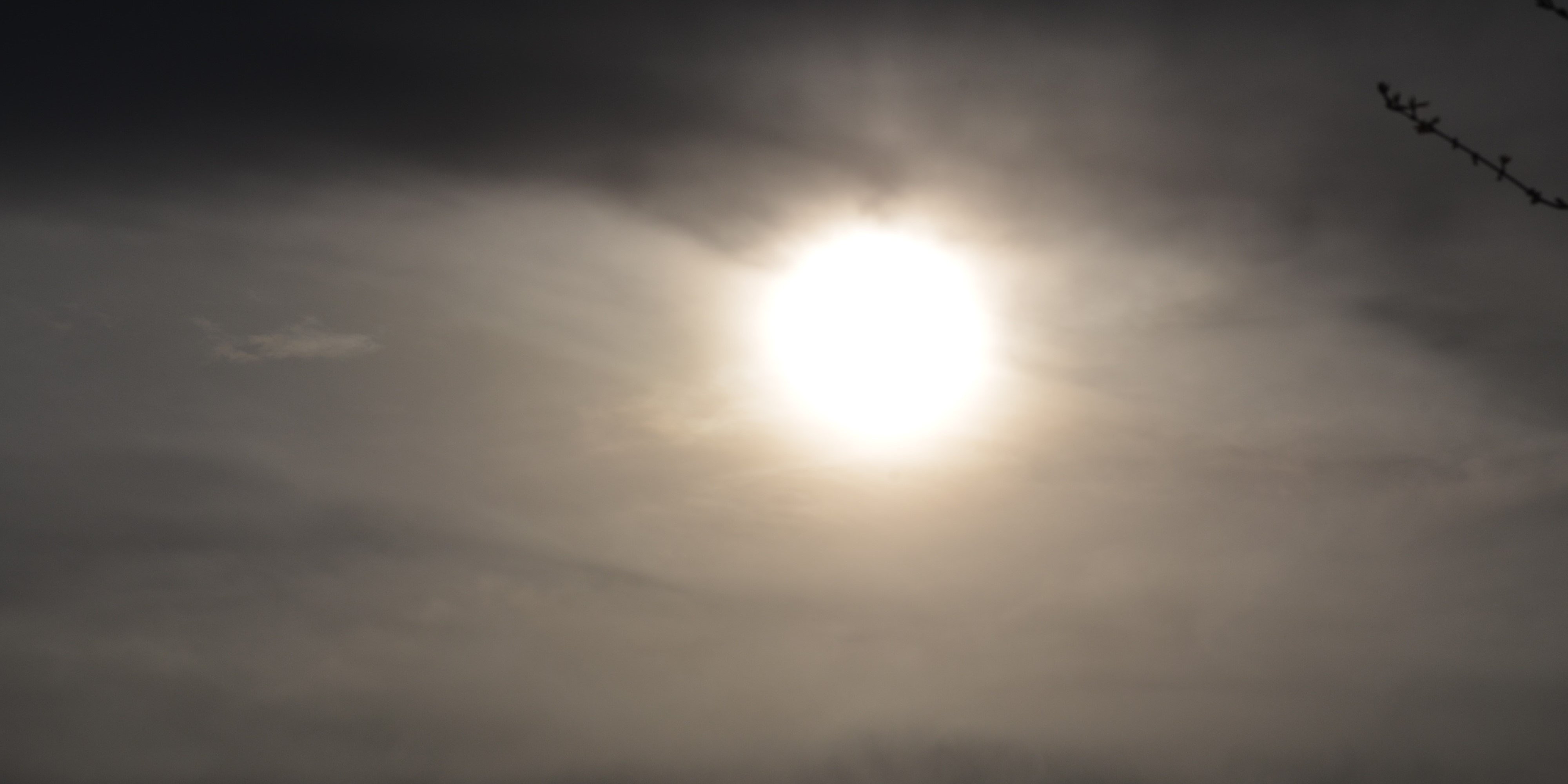 AWilk81's profile banner image