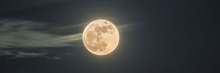 Moonlight165128's profile banner image