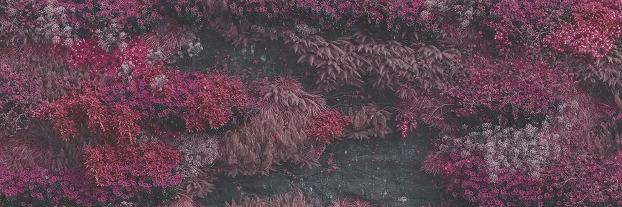 escapef1nder's profile banner image