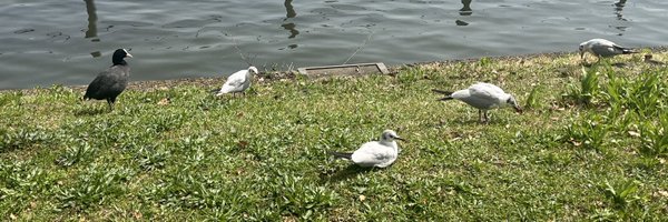 ogatasosuke1214 Profile Banner