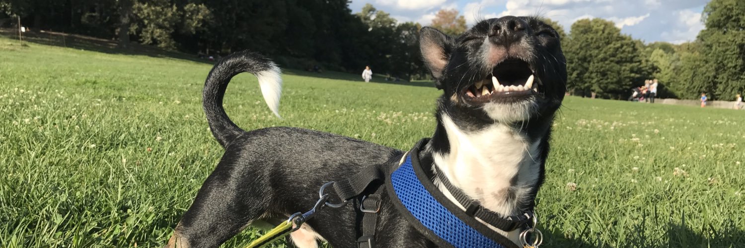 José Diaz, PhD 🏳️‍🌈 banner