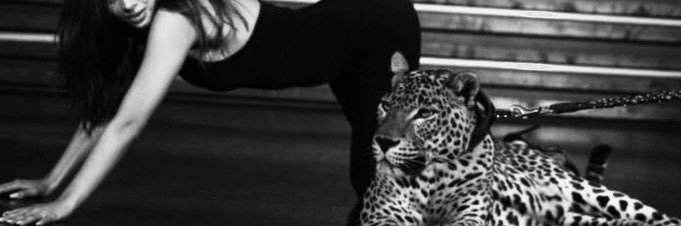 𝒹's banner