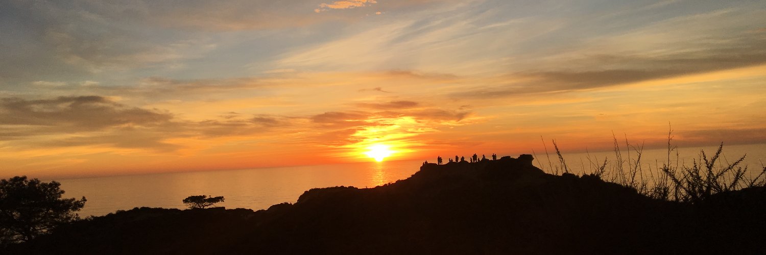 Martha Osorio banner