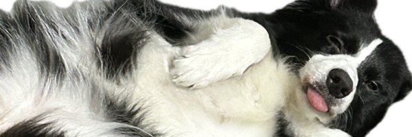 rim_or_lim Profile Banner