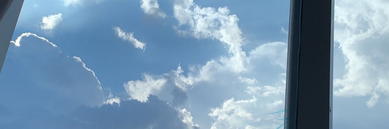 🧸. banner