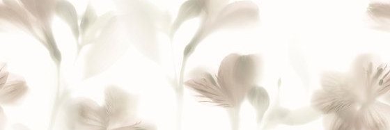 yin🧶 banner