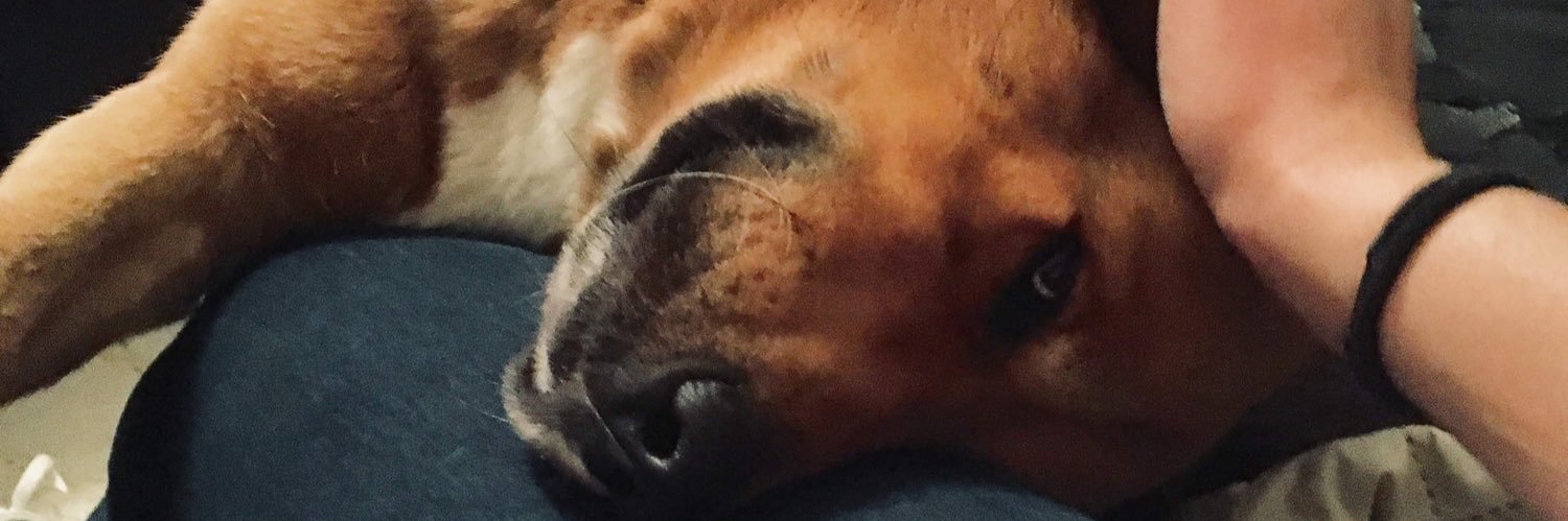 Melgu15's profile banner image
