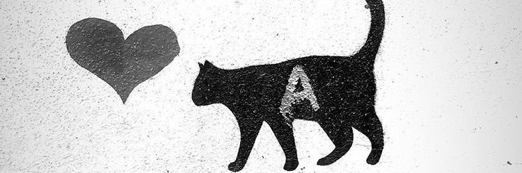 yantzii's profile banner image