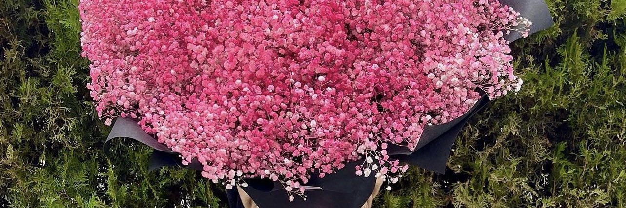 PinkButterfly banner