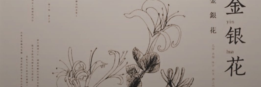 gauroraaa's profile banner image