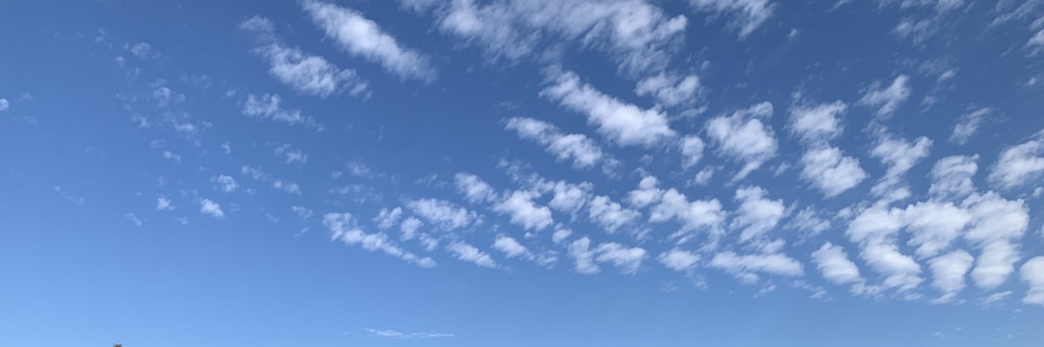 mi_tsuko's profile banner image
