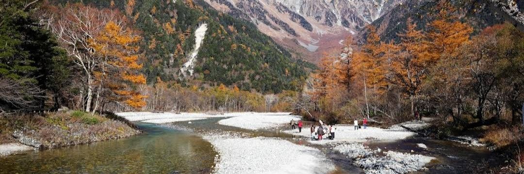 Foxman Studio banner