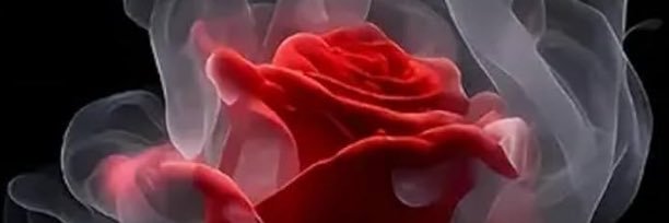 Bullman2509's profile banner image