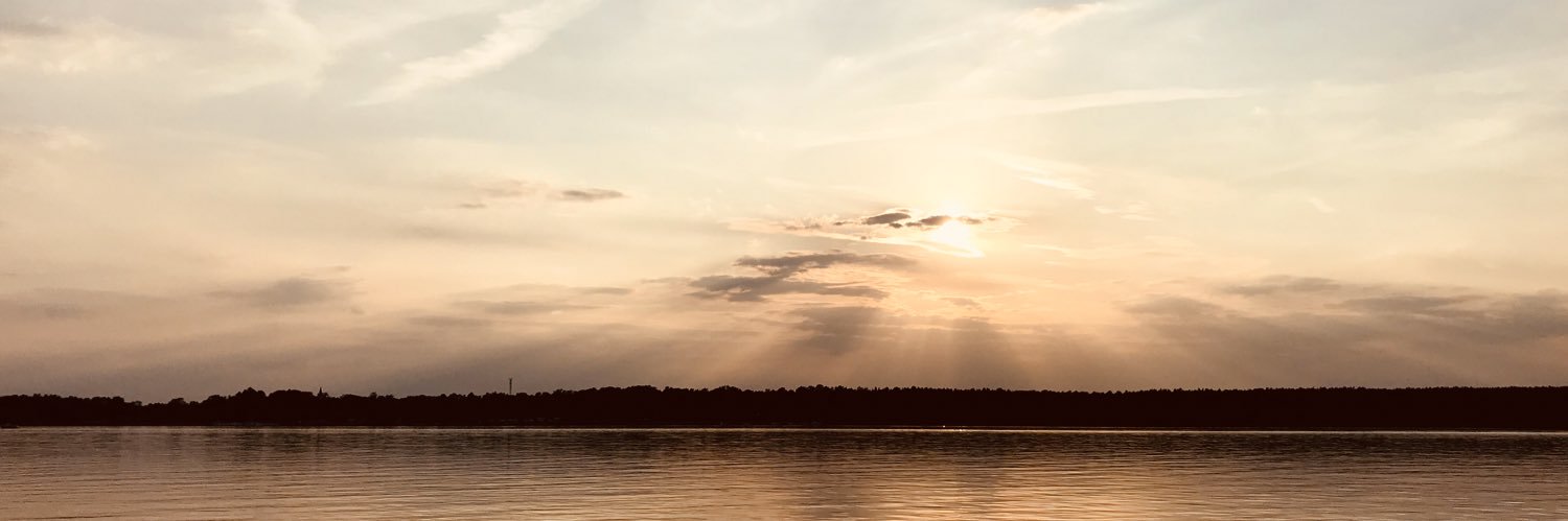 Michael Ameling banner