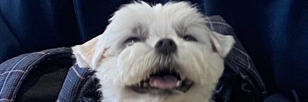 EZOOKe Profile Banner