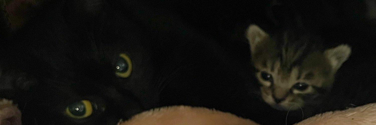 Lindy612's profile banner image