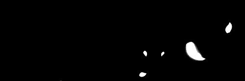 suwoo banner
