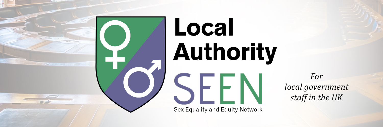 Local Authority SEEN's banner