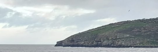 Heddwch. banner