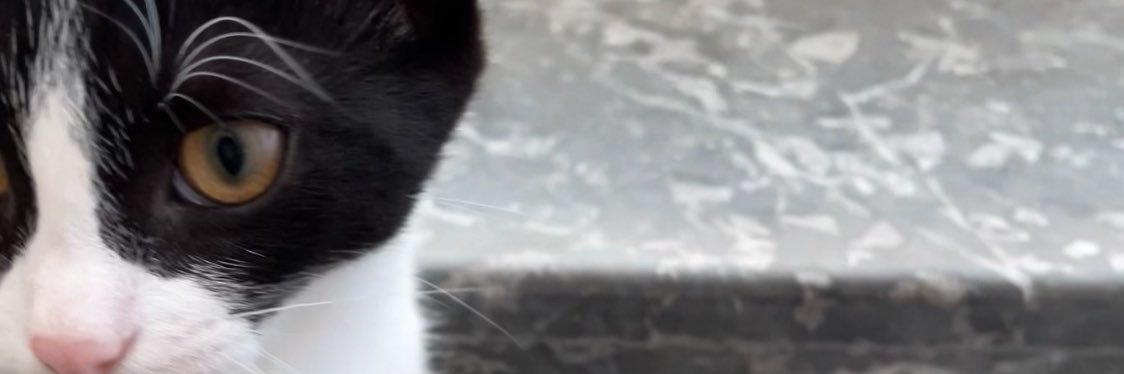 Bonnie143il's profile banner image